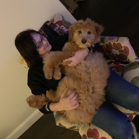 POSH AMBASSADOR - Picture 3 of 3